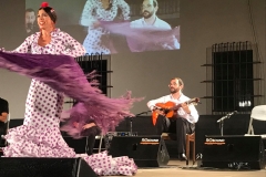 flamenco (1)